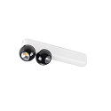 SLV V�g- og Loftlampe DYSKO IP20, sort, hvid, lakeret d�mpbar