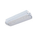 SLV V�g- og Loftlampe P-LIGHT firkantet IP65, gennemsigtig, hvid, lakeret 