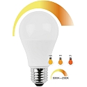 HWH LED Lyskilde p�reformet 10W varmhvid, Dim to warm
