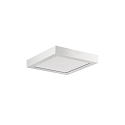 LED panel REFIDO 2CCT / 32.5 X 32.5 CM overflademonteret version, CCT Switch, UGR < 19, omskiftelig