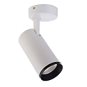 Loftlampe LUCEA TILT 20 CCT Switch, justerbar IP20, gennemsigtig, trafik hvid d�mpbar