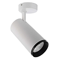 Loftlampe LUCEA TILT 30 CCT Switch, justerbar IP20, gennemsigtig, trafik hvid d�mpbar