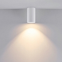 Downlight CAN cylindrisk, stiv GU10 IP20, hvid