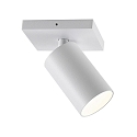 Loftlampe CAN TILT SQUARE 11CM 1-flamme, firkantet, kardanisk drejning GU10 IP20, hvid