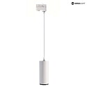 3-phase spot LUCEA 10 IP20, transparent, traffic white dimmable