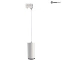 3-phase spot LUCEA 15 IP20, transparent, traffic white dimmable
