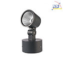 Deko-Light Outdoor LED spot COLT 8W COB, IP65, 3000K 470lm 775cd 40, die-cast aluminum, black grey / opal
