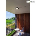 Lutec wall and ceiling luminaire HELENA square IP54, anthracite