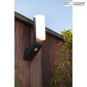 Lutec outdoor wall luminaire BATI 1 flame, with sensor IP44, anthracite