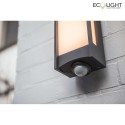 Lutec outdoor wall luminaire QUBO 1 flame, with sensor IP54, anthracite