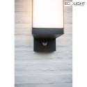 Lutec outdoor wall luminaire CUBA with motion detector IP54, anthracite
