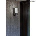 Lutec Udendrs wall luminaire POLLUX med bevgelsesdetektor, med kamera, App-kontrol IP44, antracit dmpbar