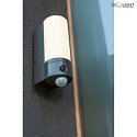 Lutec Udendrs wall luminaire POLLUX med bevgelsesdetektor, med kamera, App-kontrol IP44, antracit dmpbar