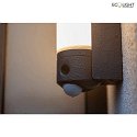 Lutec outdoor wall luminaire POLLUX with motion detector, with camera, app control IP44, anthracite dimmable