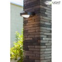 Lutec outdoor wall luminaire FELE 1 flame, rotatable IP54, anthracite
