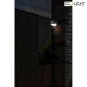 Lutec outdoor wall luminaire FELE 1 flame, rotatable IP54, anthracite