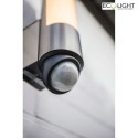 Lutec outdoor wall luminaire LEDA with sensor IP44, nickel