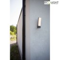 Lutec Udendrs wall luminaire KIRA 1-flamme, med diffuser IP54, antracit