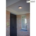 Lutec wall and ceiling luminaire ROLA round IP54, black matt