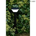 Lutec solar floor lamp KARLO with motion detector, app control IP44, black dimmable