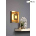 Luce Design wall and ceiling luminaire WINDOW IP20, gold dimmable
