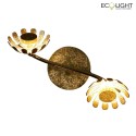 Luce Design wall and ceiling luminaire BLOOM-SPOT 2 flames IP20, gold 