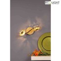 Luce Design wall and ceiling luminaire BLOOM-SPOT 2 flames IP20, gold 