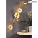 Luce Design wall and ceiling luminaire BLOOM-SPOT 4 flames IP20, gold 