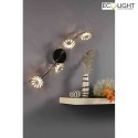 Luce Design wall and ceiling luminaire BLOOM-SPOT 4 flames IP20, silver 