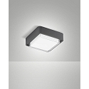 Udend�rs loftlampe DIUK IP65, m�rkegr�