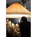 Faro pendant luminaire SAIGON IN 4 flames E27 IP20, black matt, ivory 
