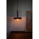 Faro pendant luminaire WHIZZ E27 IP20, gold, black 