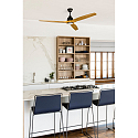 Faro Loftsventilator ALO CCT med fjernbetjening IP20, sort mat, fyrretr�
