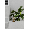 Faro V�g- og Loftlampe MAUREN E27 IP44, messing 