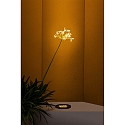 Faro Gulvindbygningslampe TRAS 25L / 13� / 700MA 12-flammer, stiv IP67, sort mat d�mpbar