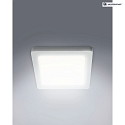 HEITRONIC LED Panel SELESTO, Clip-on System, 164mm, 12W, 3000/4000/6000K, 1100lm, square, IP20, white