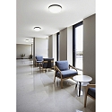 Helestra Loftlampe TANA IP44, sort mat, delvis satineret 