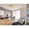 Helestra ceiling luminaire MORI CCT Switch, with diffuser IP20, black matt, gold leaf dimmable