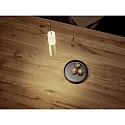 Helestra pendant luminaire LIDOS 1 flame, direct / indirect IP20, black matt, gold leaf dimmable