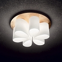 Ideal Lux Loftlampe DAISY 6-flammer E27 IP20, guld, hvid