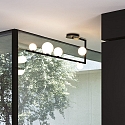 Ideal Lux Celing luminiare BIRDS, 5-flame, 5x G9, black / white / satined brass