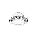 reflector lamp FOX 25W BIG / 0-10V + DALI / 15� / � 62MM, transparent
