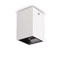 Loftlampe NITRO firkantet IP20, sort, hvid 