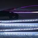 LED Strip CRI FOOD FLEX FISH 2-pole white