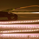 LED Strip CRI FOOD FLEX BREAD 2-pole white