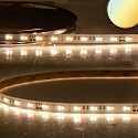 LED Strip CRI90 SUNSET FLEX DTW PWM Dim-To-Warm hvid