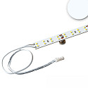 LED modul T5/T8 865 DIM MINIAMP - 85CM - 170LM/W med stik, 2-polet