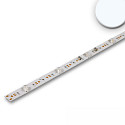 LED modul BACKLIGHT 865 DIM - 117.5CM til VDU-arbejdsstation, 2-polet, med linseoptik 16W 1175lm 6500K 180� CRI 80-89 d�mpbar