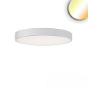 ceiling luminaire COLOR SWITCH ROUND - � 60CM CCT Switch, UGR < 19, multipower IP20, white dimmable