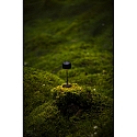 Konstsmide Batteri bordlampe LILLE MINI med USB tilslutning, med touch-d�mper IP54, sort d�mpbar